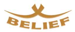 Belief Logo