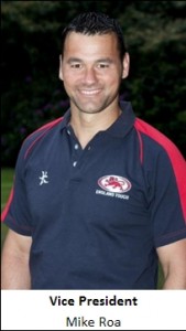 Vice President - Mike