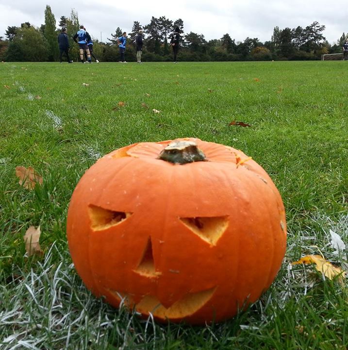 pumpkin at TVV